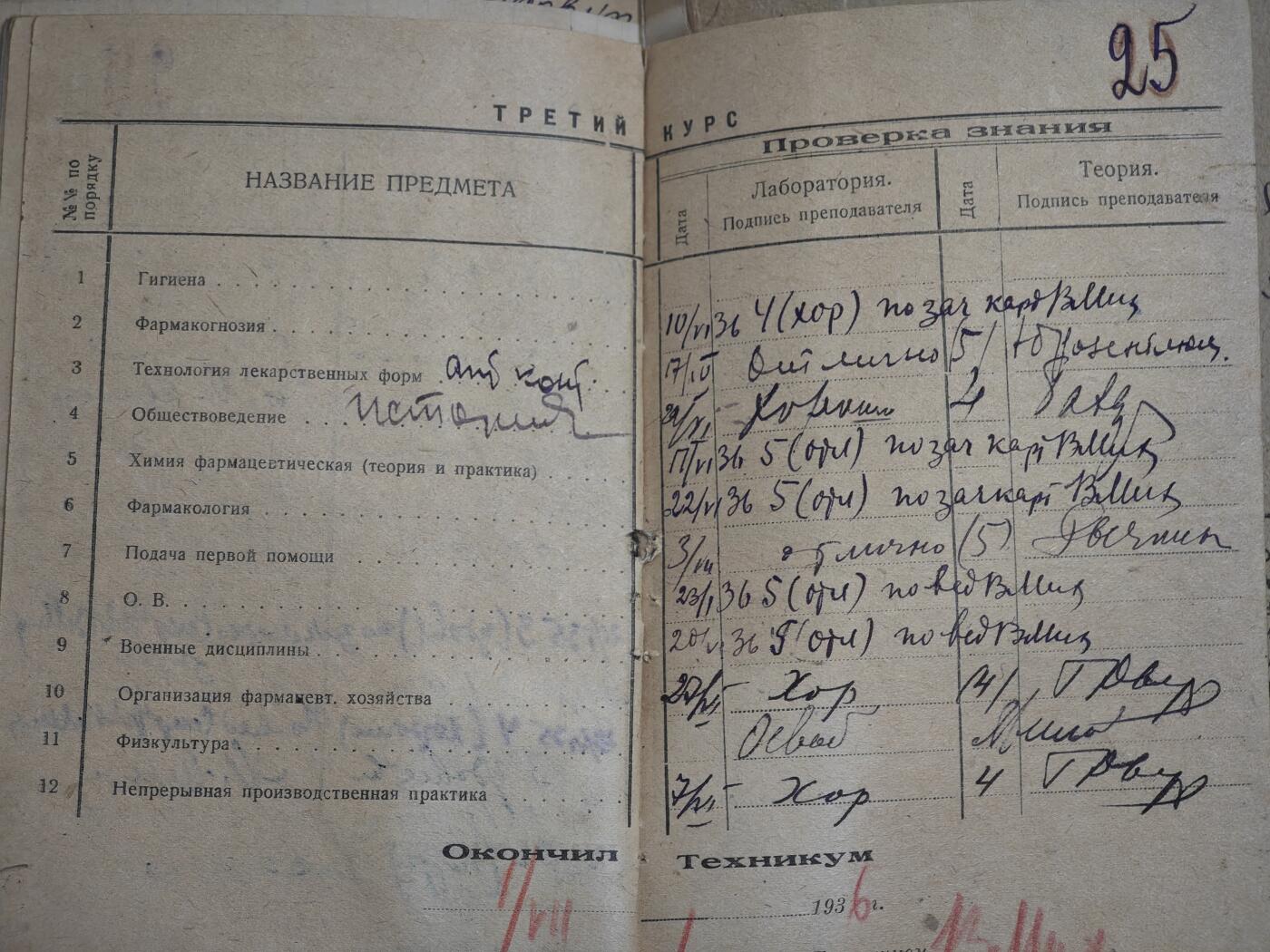 橙子收藏第七期