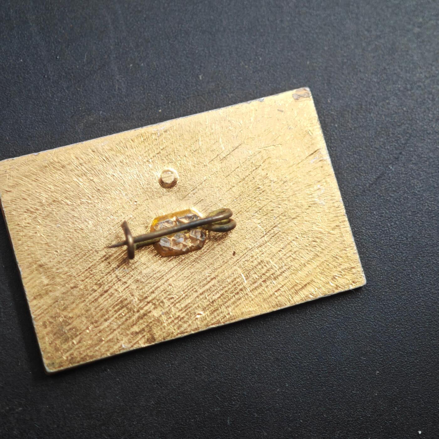 4月4日结束，成斌徽章钱币专场