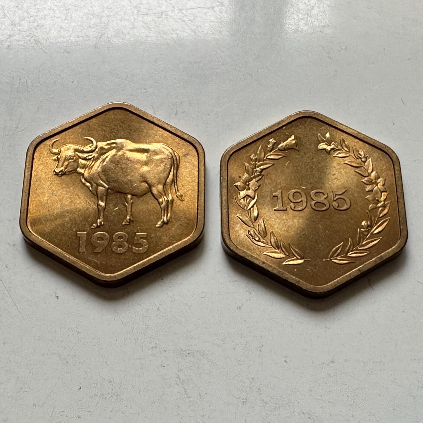 🌹外币初藏🌹🐯2026年第37场   每周二四六晚8️⃣点 接代拍 1985年牛年生肖章一对