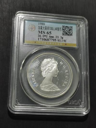 天下钱庄专场欢迎参拍 - 精制版加拿大1加元银币