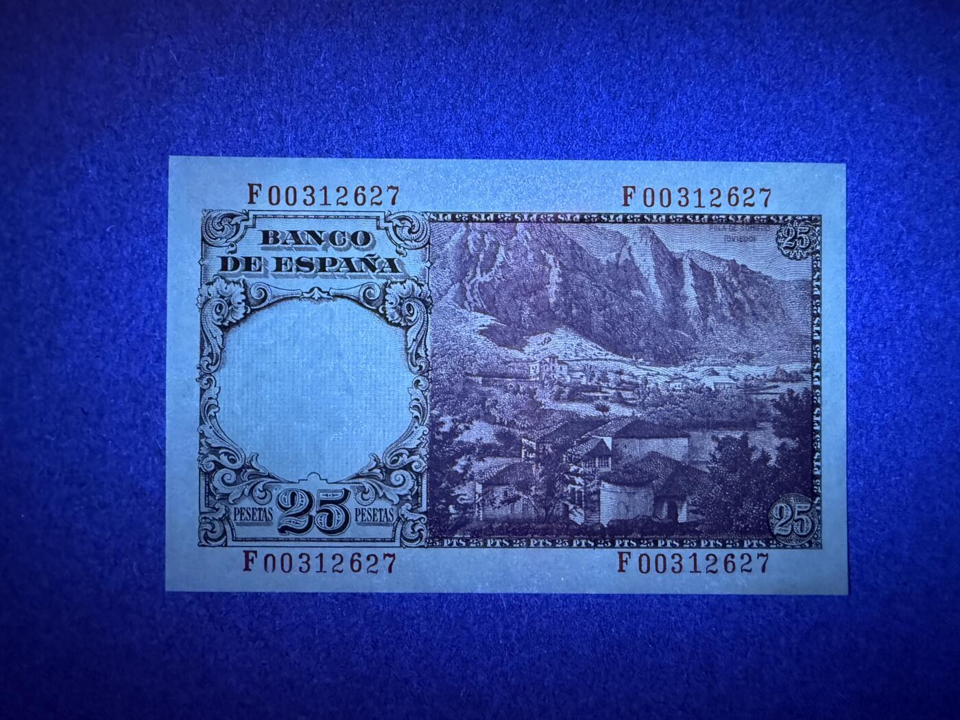 《愛美收藏》第239期-4.5周日外币黄金场 