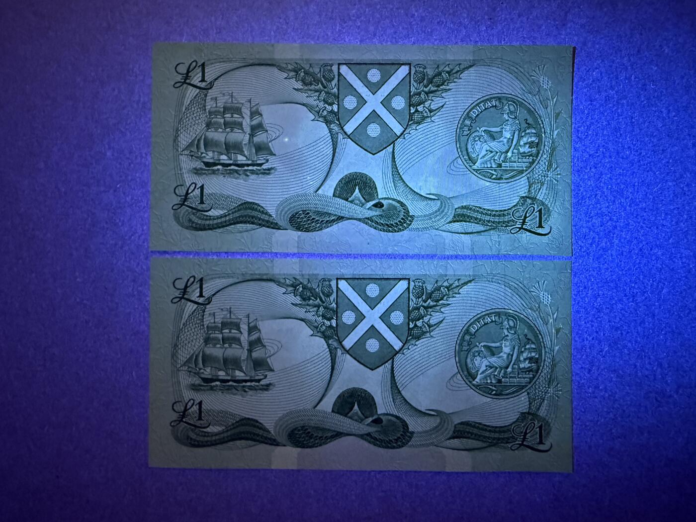 《愛美收藏》第239期-4.5周日外币黄金场 