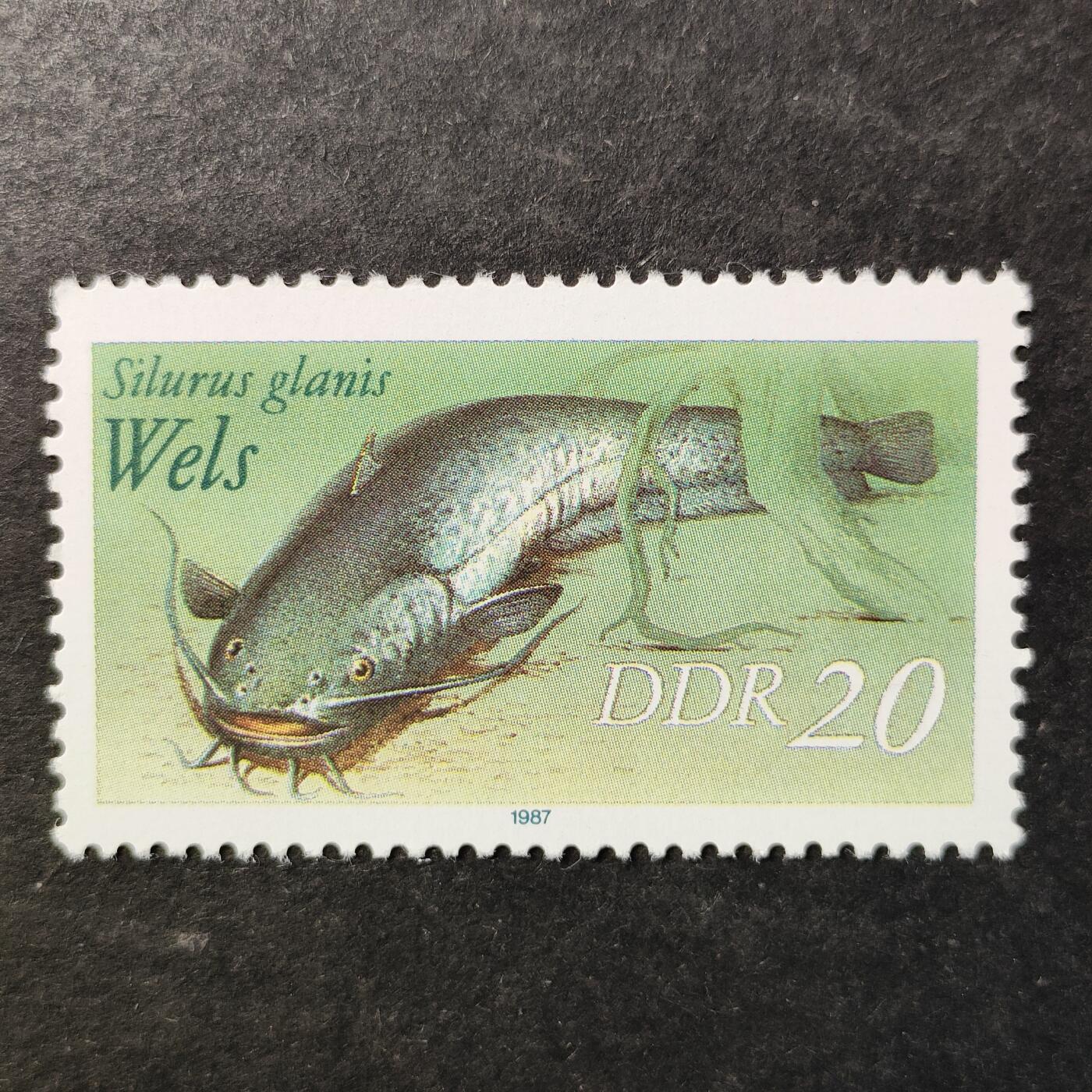 嘉禾收藏    【第506期】            无佣金、可寄存、满30元包邮