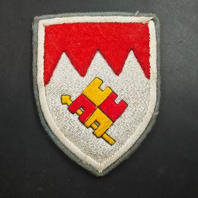 4月4日结束，成斌徽章钱币专场 - 联邦德国12装甲师肩章