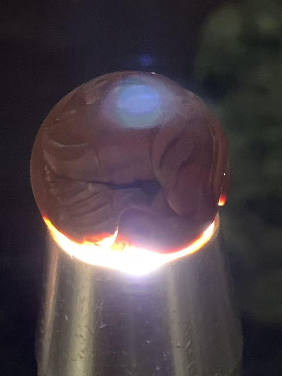 精美亚光草花纹战国红玛瑙手工俏色巧雕大象2.0圆珠一个