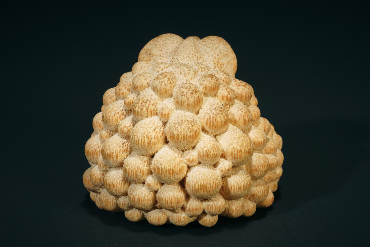 上海都达杂项专场七十二【全场包邮】 实心玉竹《三足金蟾》》小摆件80-70