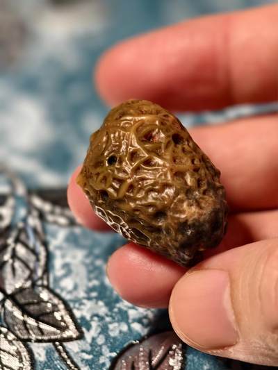 抚柳草堂-第二十二期章牌钱币  奖章勋章 满百包邮 放漏专场 - 筋脉石玛瑙 经脉石一块 经脉清晰独特