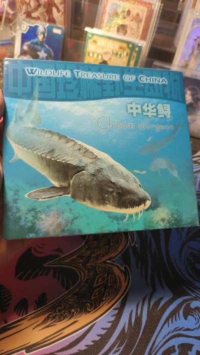 霸总卡牌第四期 - 康银阁中华鲟装帧版 编号：838681