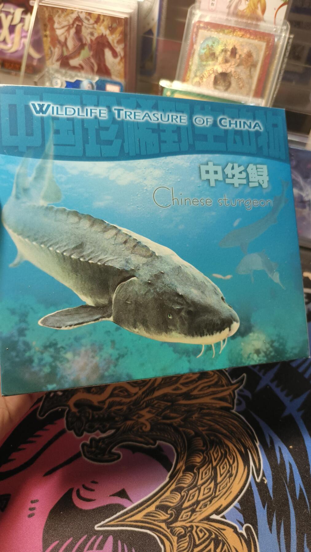 霸总卡牌第四期 康银阁中华鲟装帧版 编号：838682