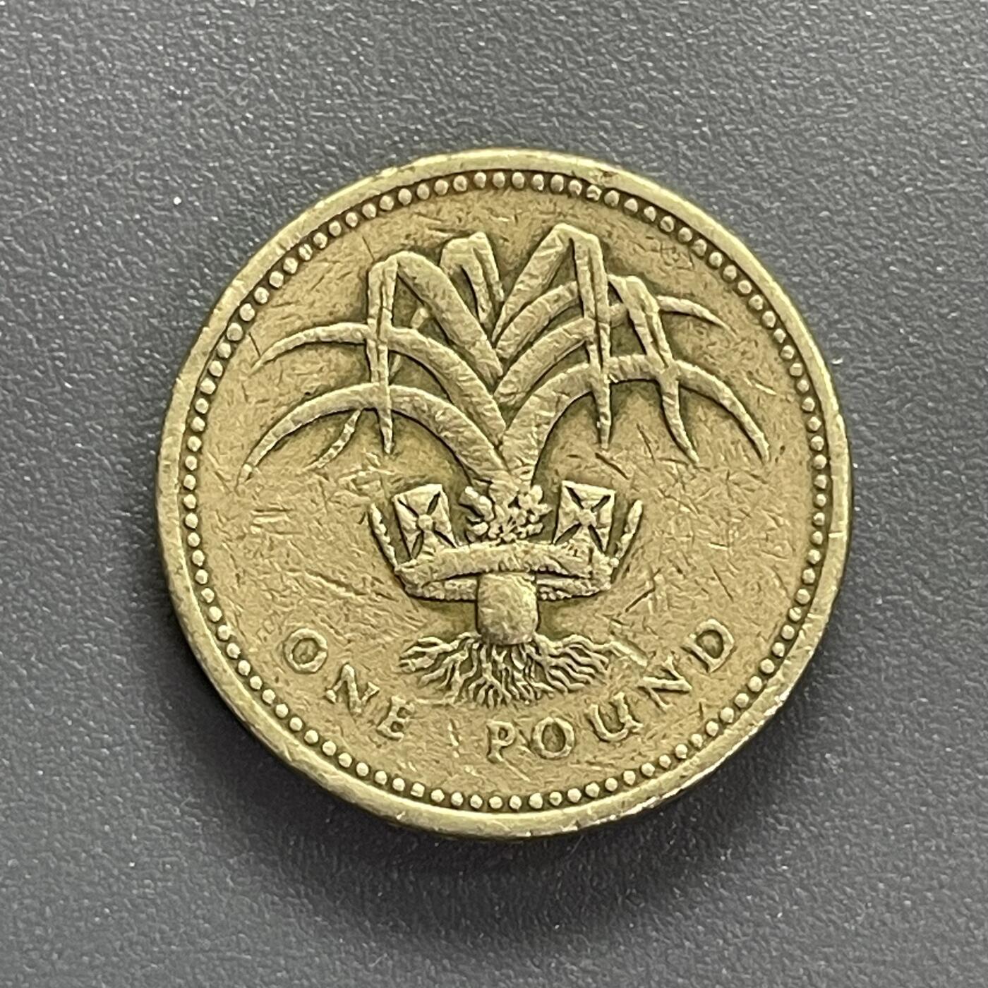 回流0405 英国1990年1英镑（威尔士韭葱）