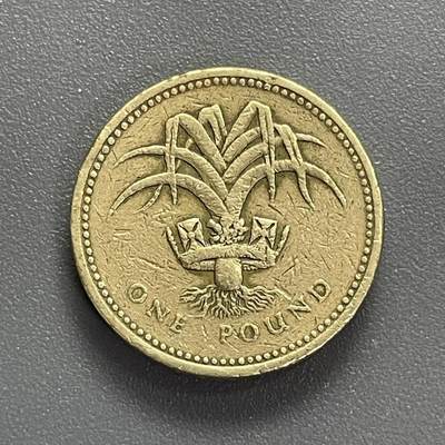 回流0405 - 英国1990年1英镑（威尔士韭葱）