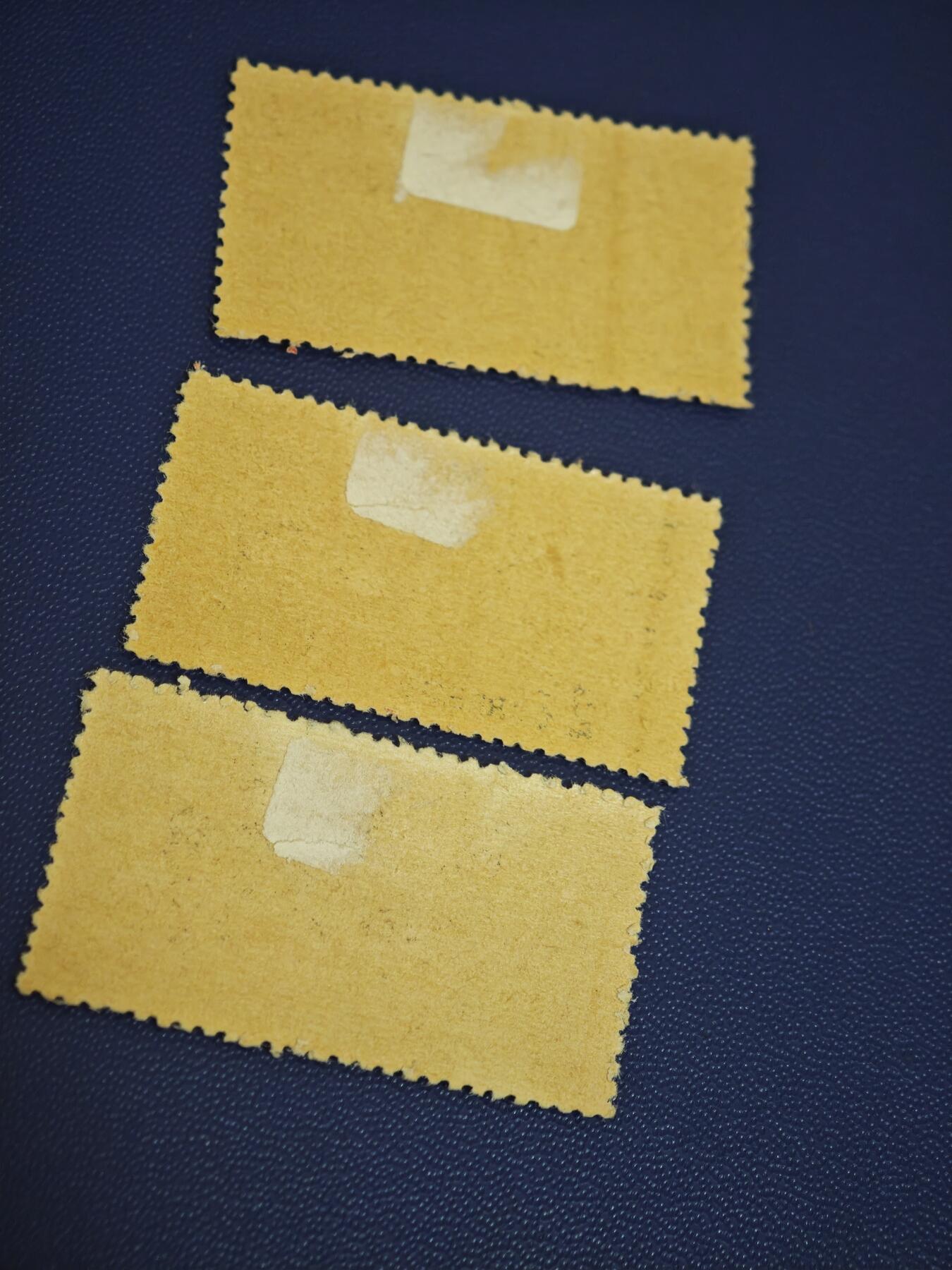 橙子收藏第七期