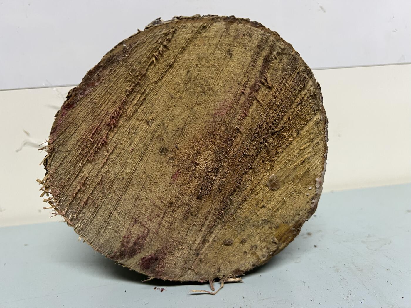 零元拍：金丝楠圆墩凳子摆件，重量3.3公斤。高：200高/190/205MM。抛光后金灿灿满香。最后图为成品效果图，如果带点瘤，意味着花纹更漂亮。抛光后金灿灿满香。最后两图为成品效果。