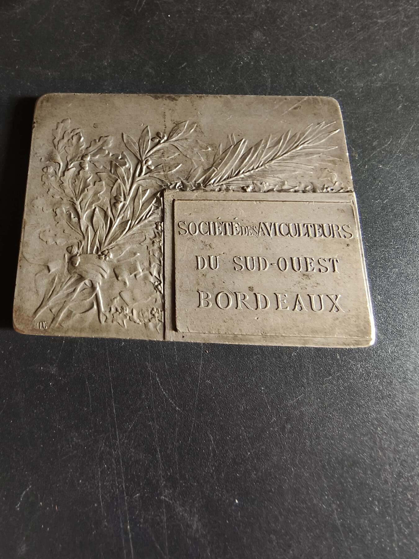 老王徽章第191期 法国波尔多农业协会方形镀银大铜章      尺寸60×45mm    重量72.4g