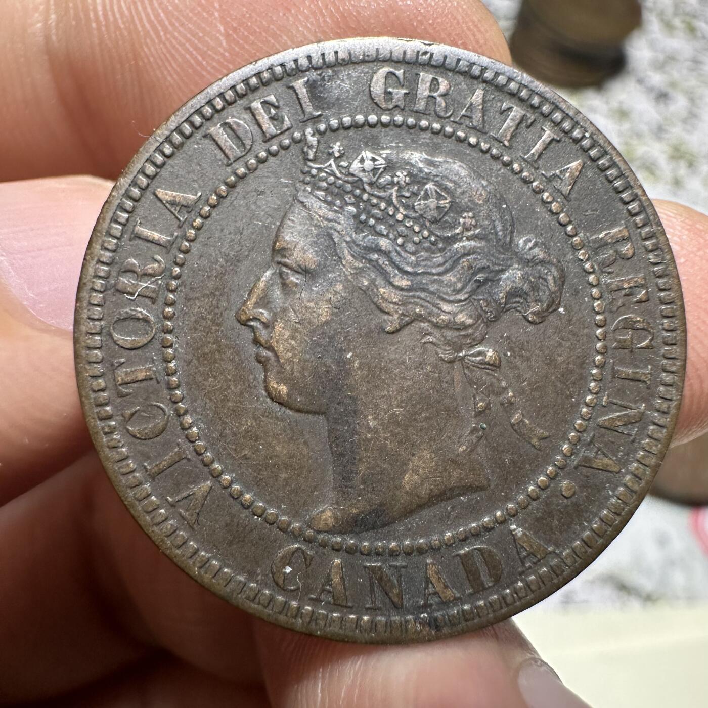 中外钱币 加拿大一分1899年，连叶纹，很有特色，少见