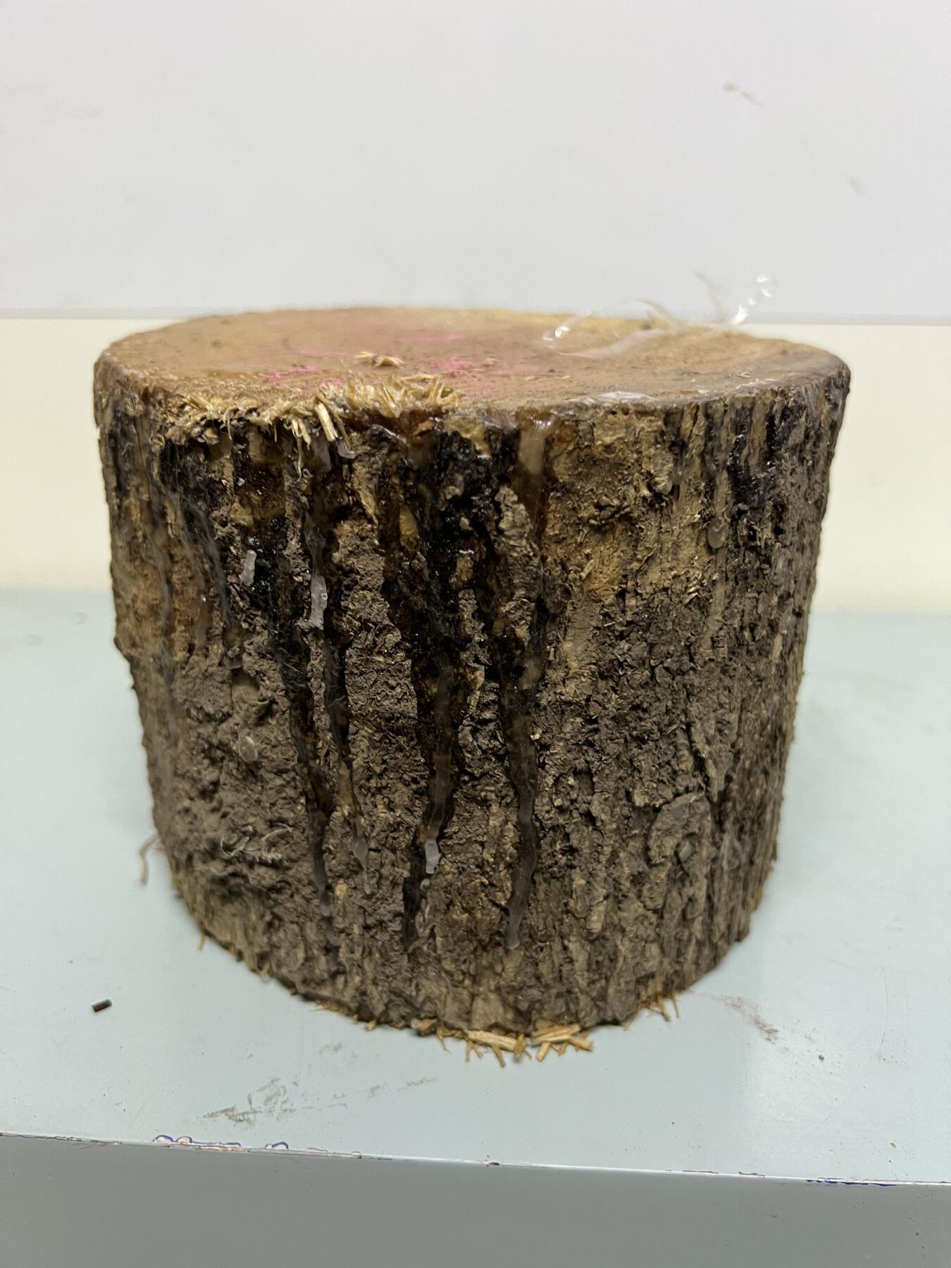 零元拍：金丝楠圆墩凳子摆件，重量3.3公斤。高：200高/190/205MM。抛光后金灿灿满香。最后图为成品效果图，如果带点瘤，意味着花纹更漂亮。抛光后金灿灿满香。最后两图为成品效果。