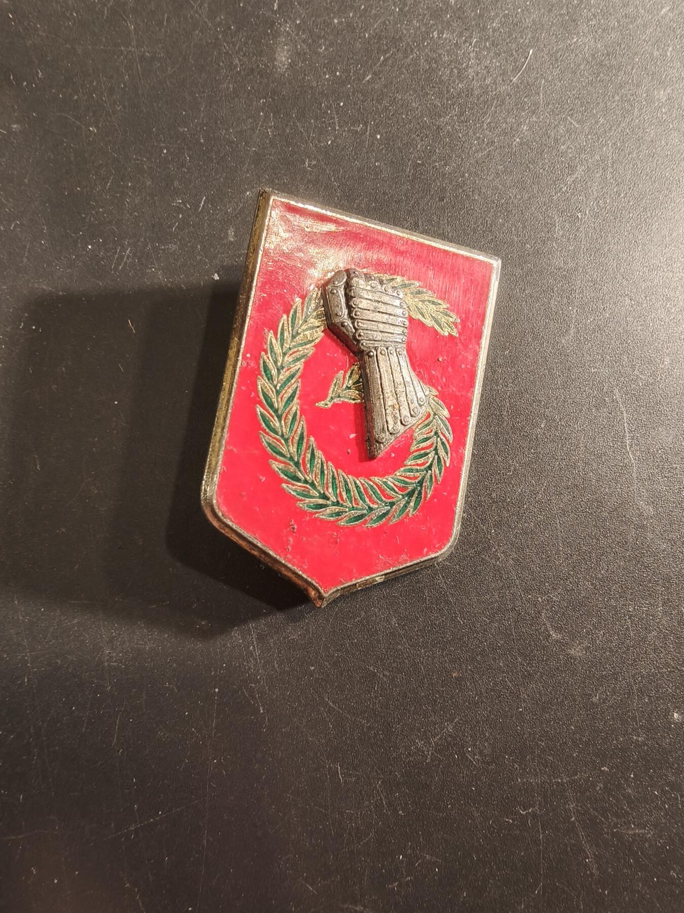 老王徽章第191期 法国陆军第6轻装甲旅证章