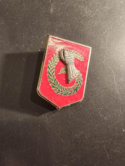 老王徽章第191期 - 法国陆军第6轻装甲旅证章