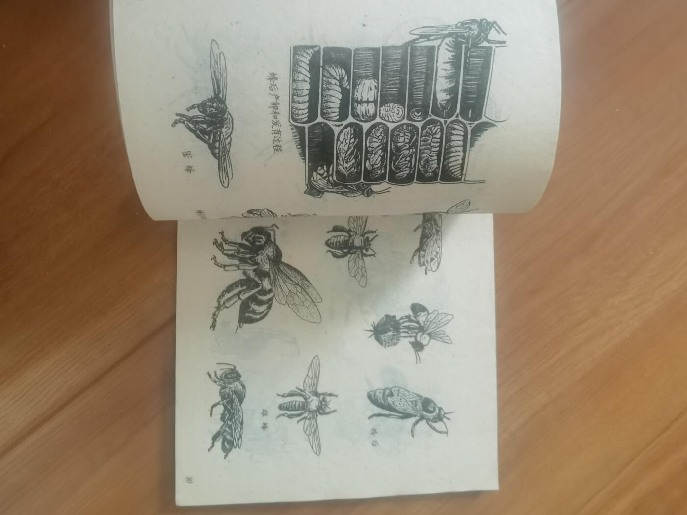 情怀旧藏儿时记忆经典收藏交流拍卖会