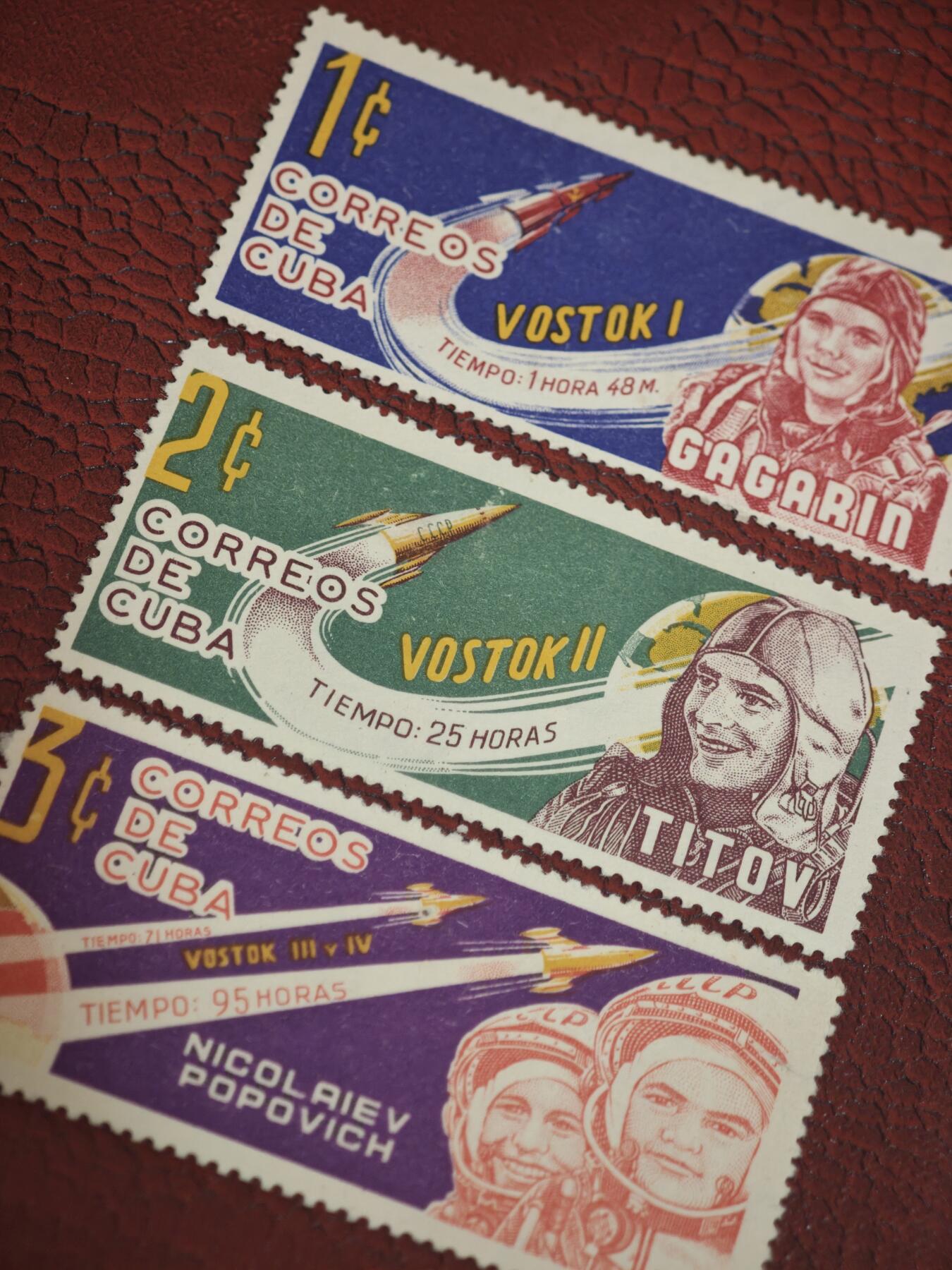 橙子收藏第七期