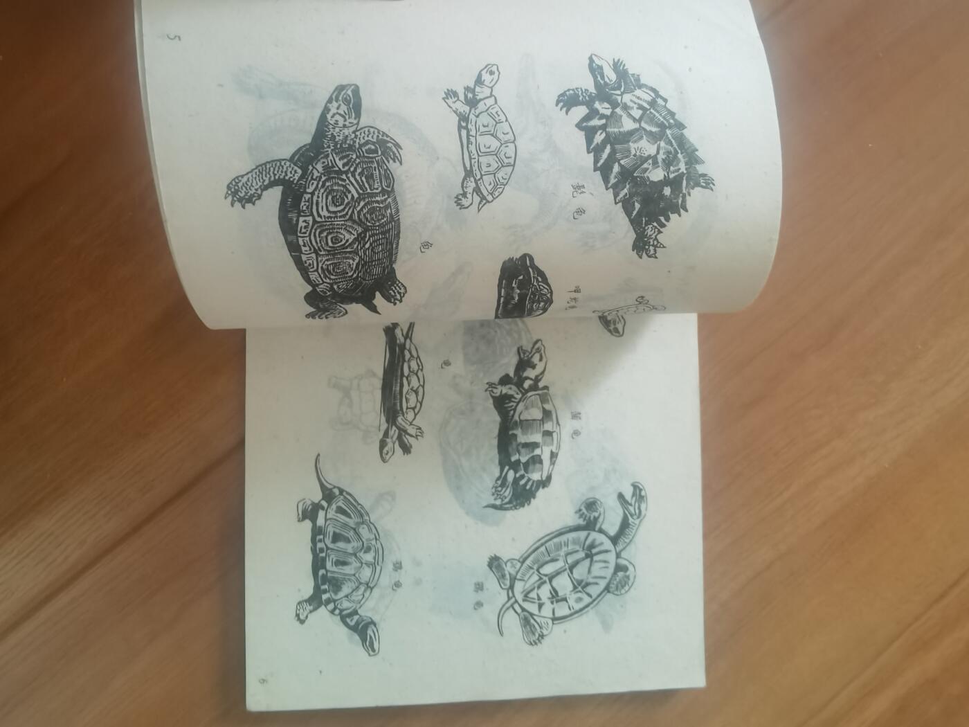 情怀旧藏儿时记忆经典收藏交流拍卖会