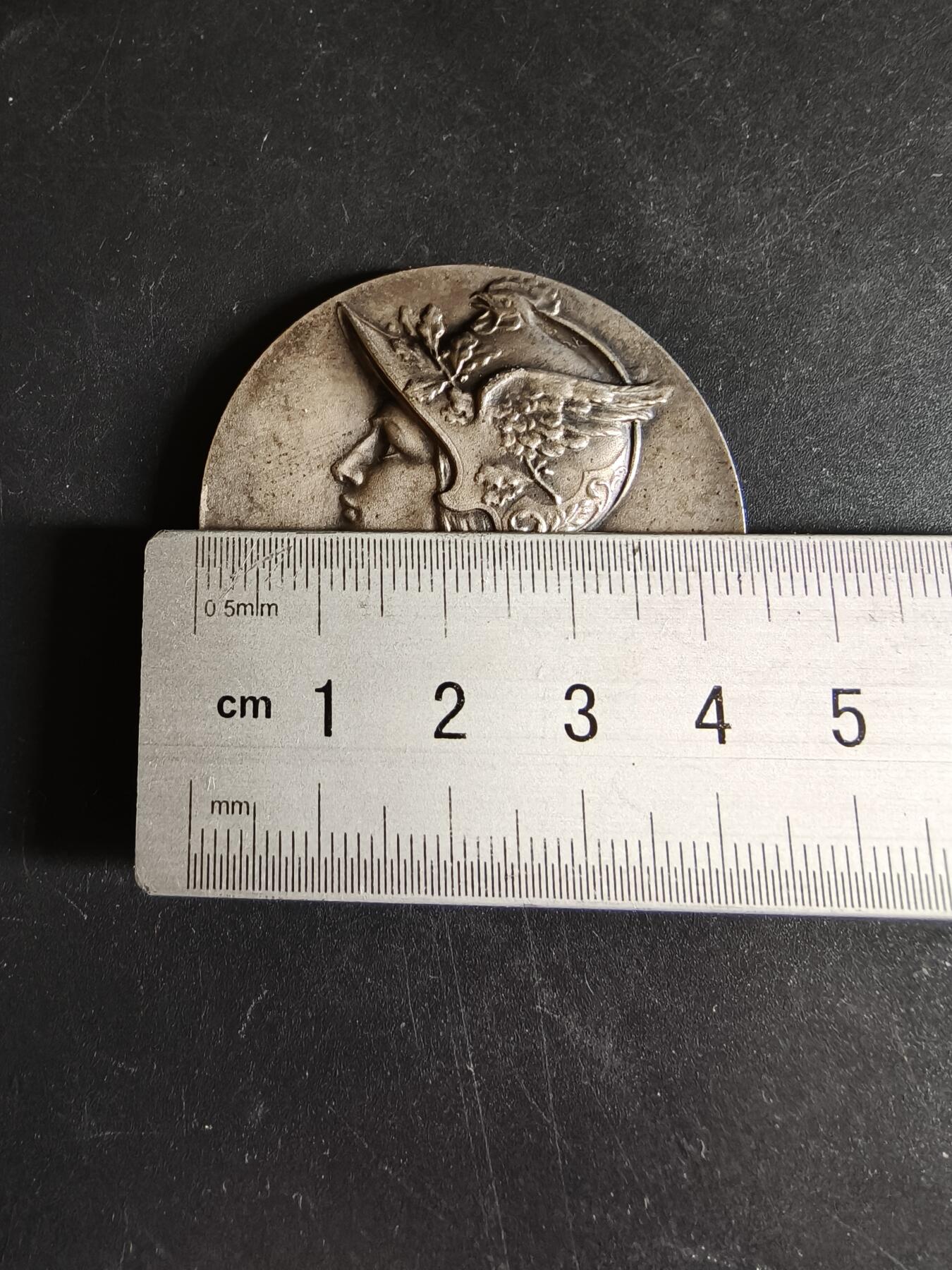 老王徽章第191期 法国书业俱乐部图书工业协会镀银大铜章      公鸡头玛丽安娜      直径44mm    重量37.4g