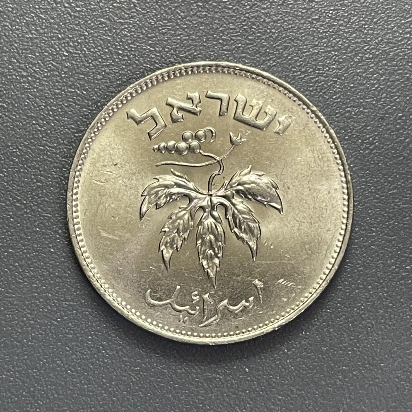 回流0405 以色列建国初期50普鲁塔硬币（1949-1960年版）葡萄藤