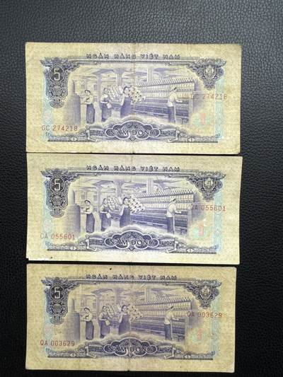 桂P钱币文化工作室拍卖第四十九期 - 中国代印越南民主共和国1966年版5盾，流通品三张