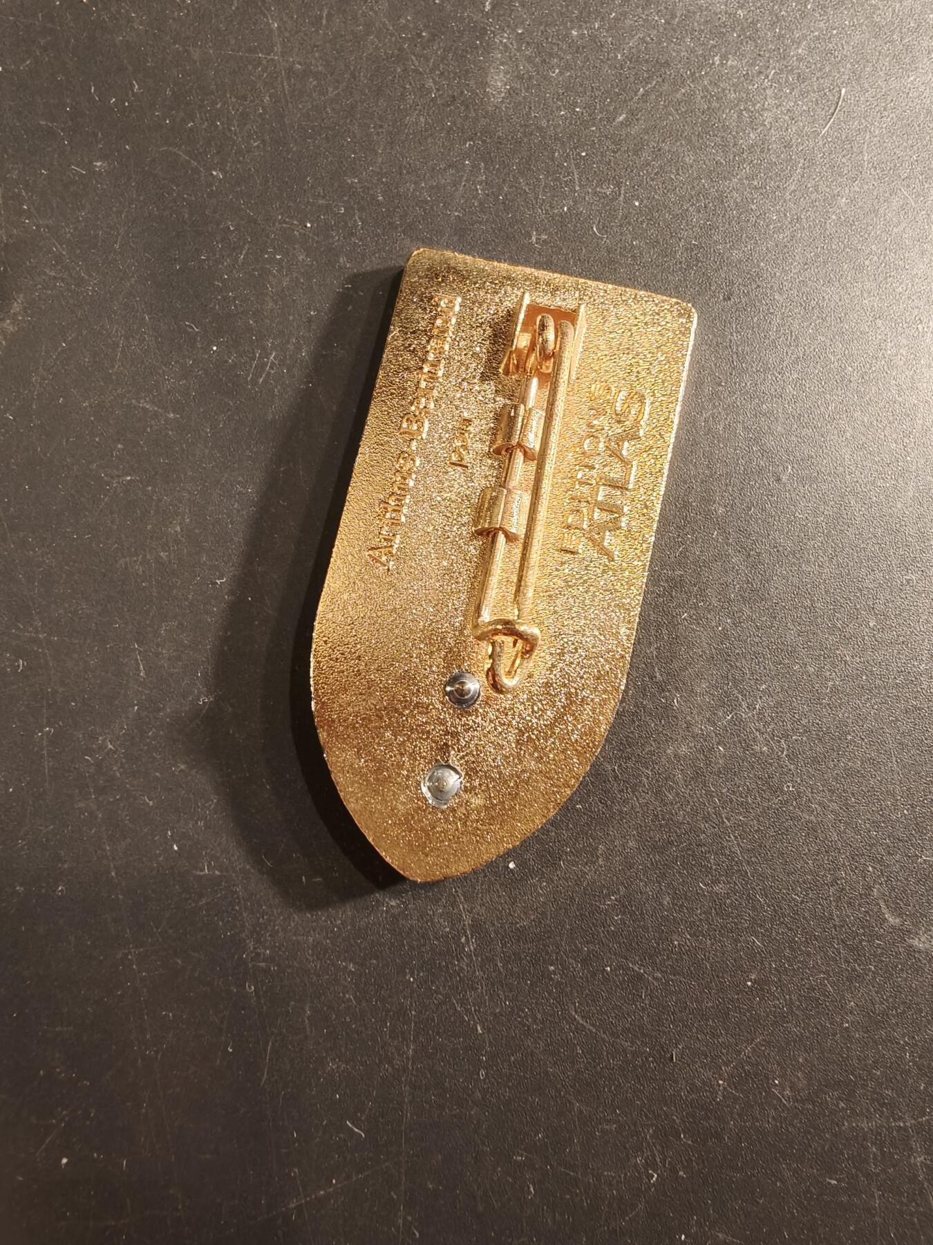 老王徽章第191期