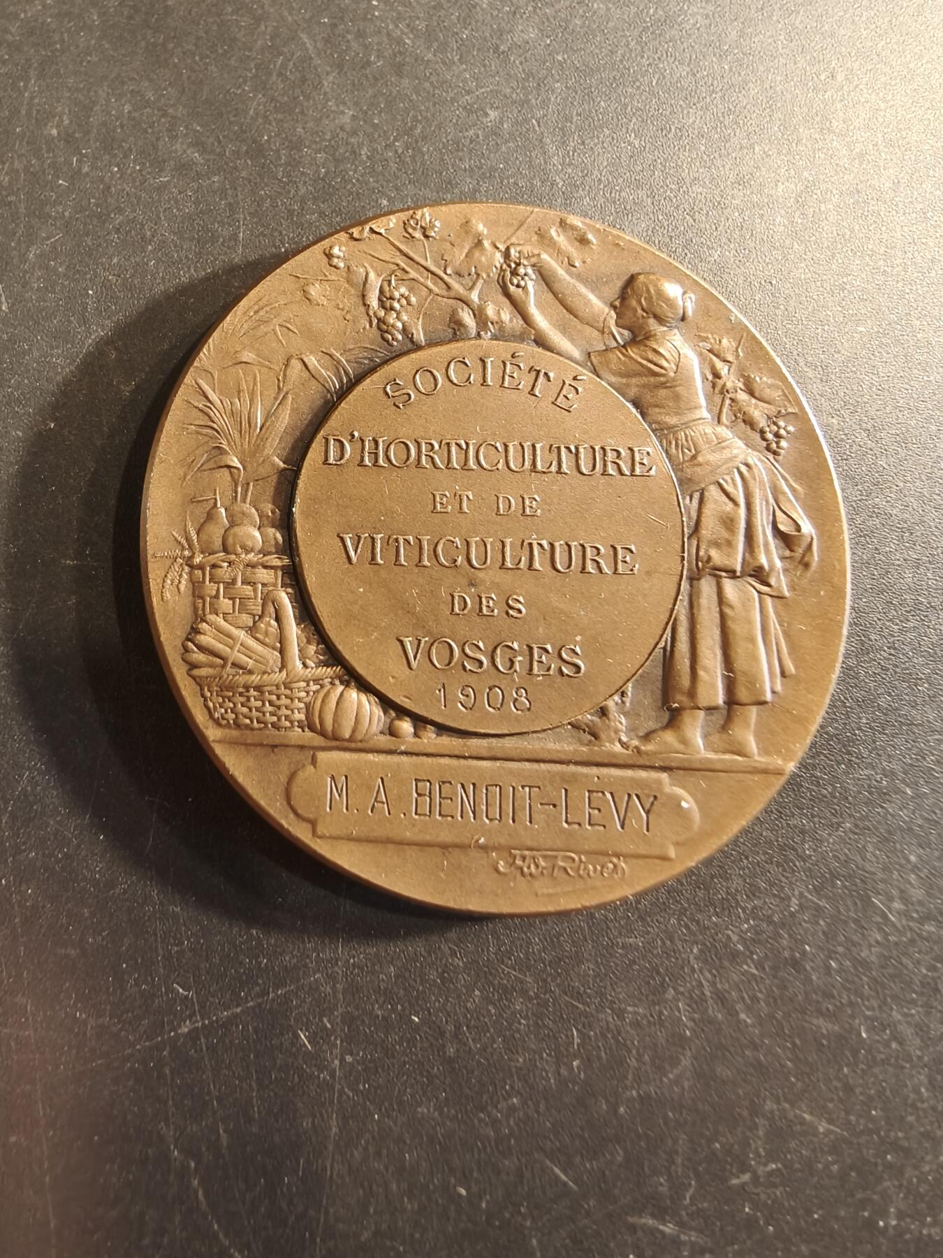老王徽章第191期 法国1908年孚日农业与园艺协会大铜章      大师里维特作品      直径39mm      重量32.4g