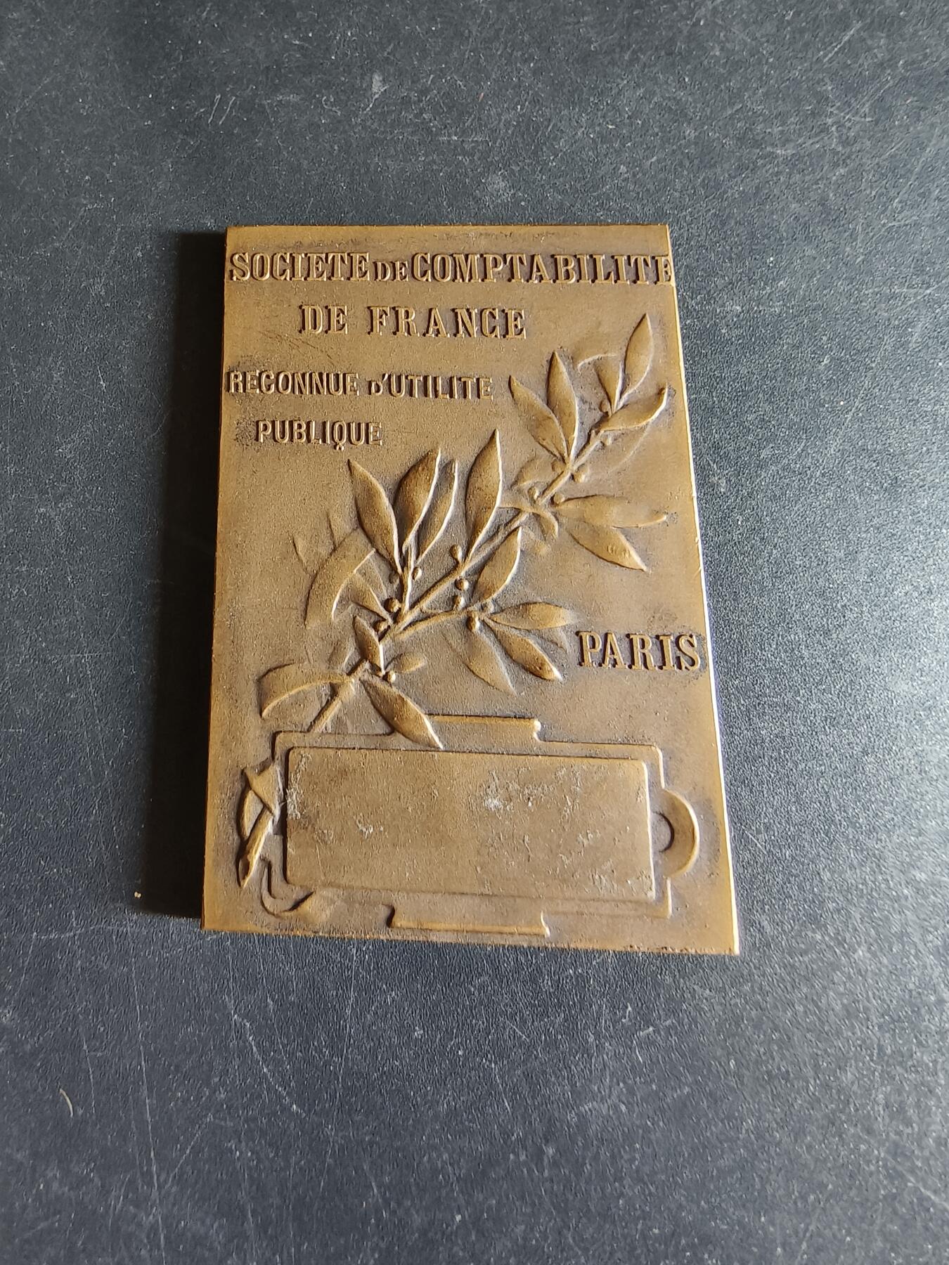 老王徽章第191期 法国会计学会公共事业认证方形大铜章      正面为沉思者形象     尺寸39×56mm     重量50g