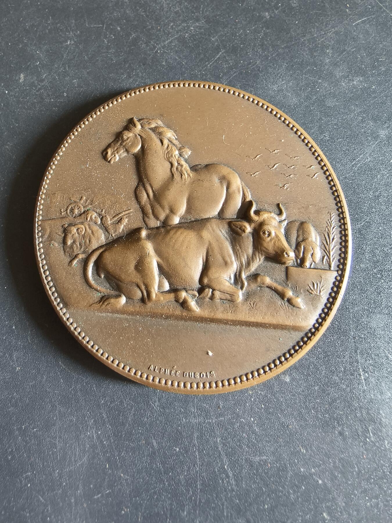 老王徽章第191期 法国畜牧业协会大铜章     原盒     直径58mm     重量92.9g