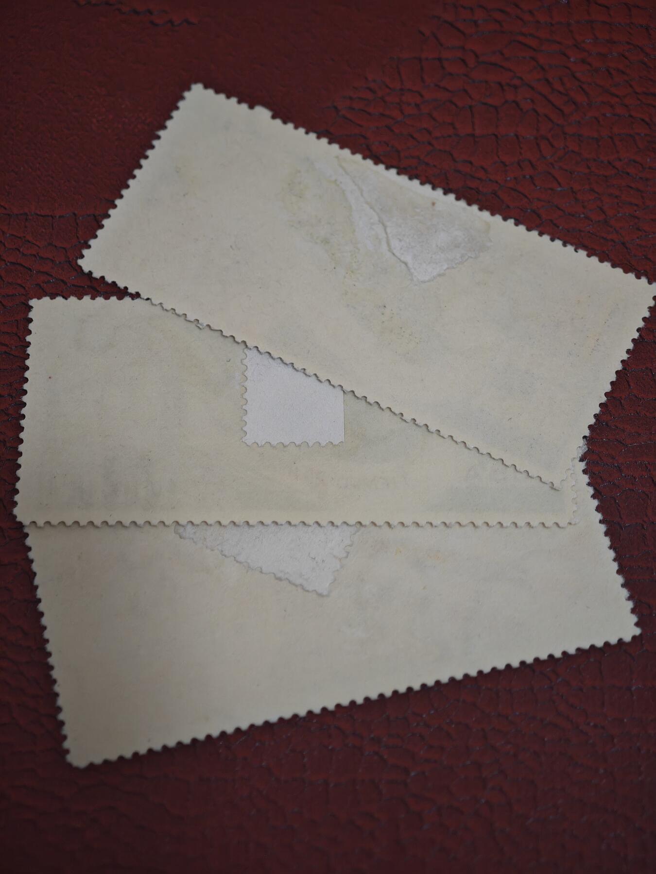 橙子收藏第七期