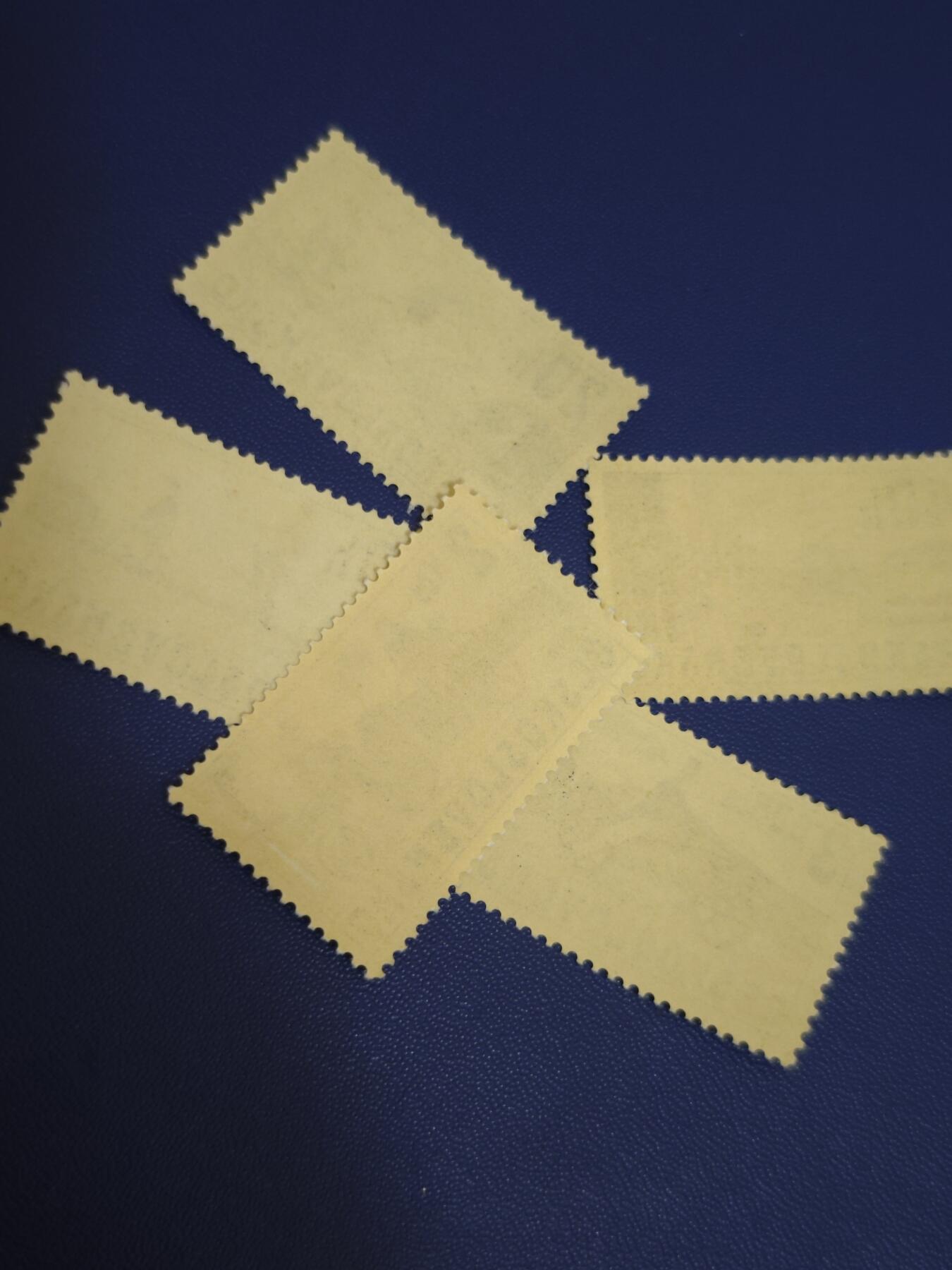 橙子收藏第七期