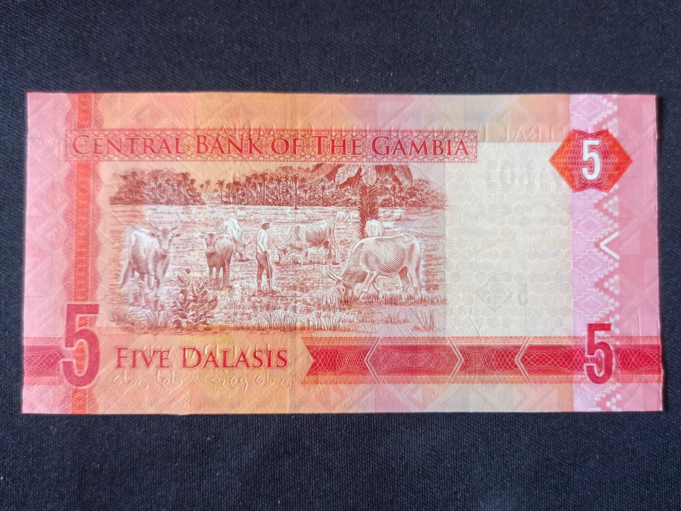 【游宝拍卖】丙午马年第20期 周六截拍 冈比亚-5达拉西【全新UNC-】