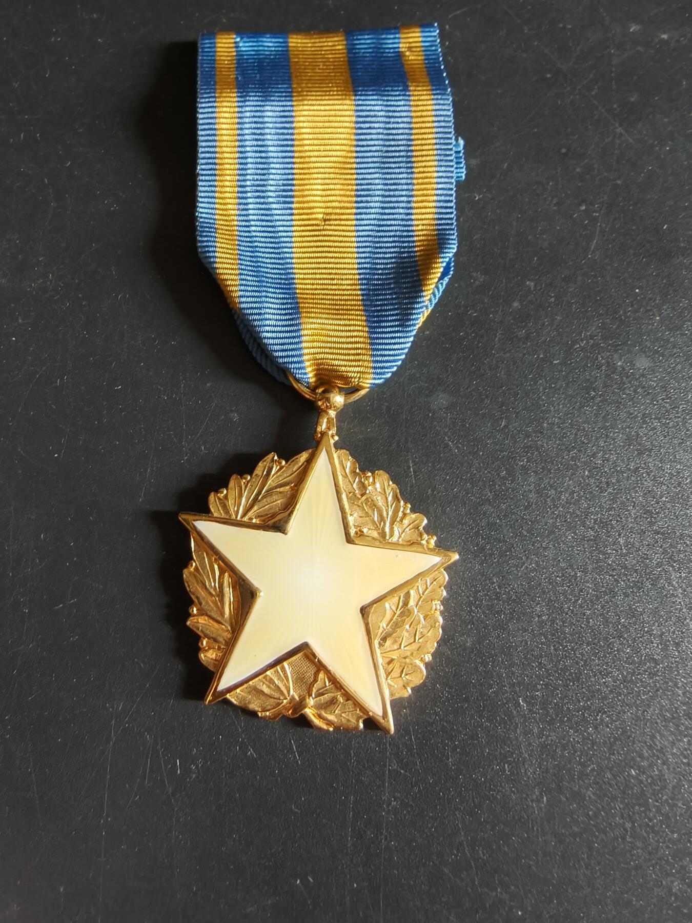 老王徽章第191期 法国民事战伤奖章    带纸盒