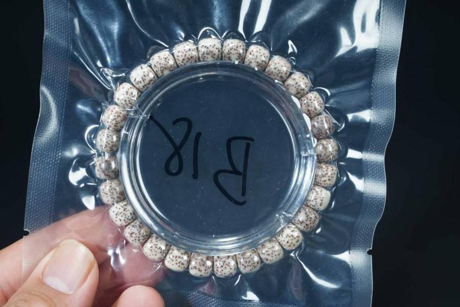 上海都达杂项专场七十二【全场包邮】 星月菩提桶珠手串64-326