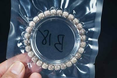 上海都达杂项专场103【全场包邮】  星月菩提桶珠手串64-326