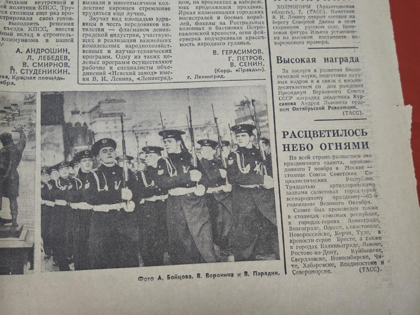 橙子收藏第七期