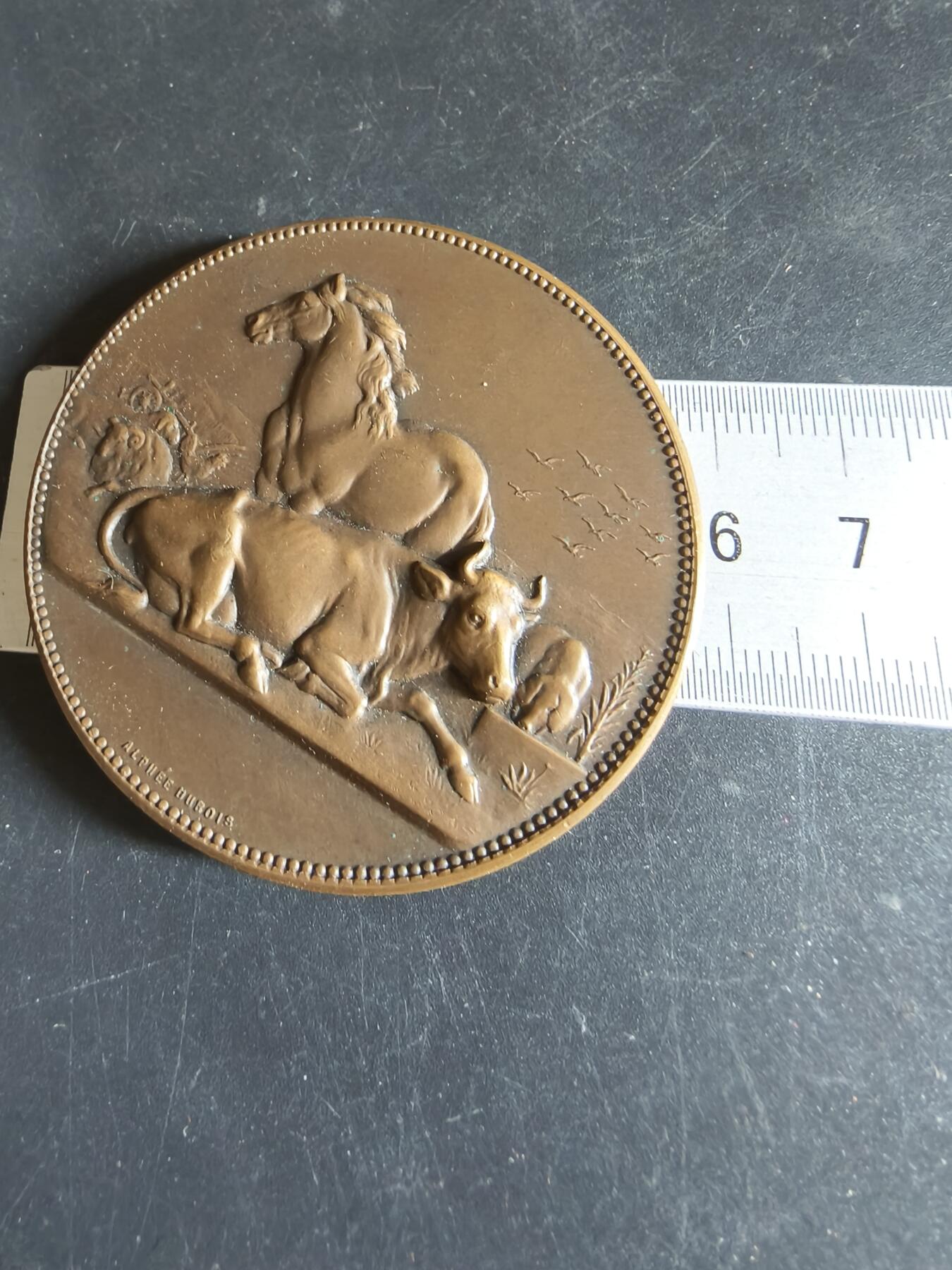 老王徽章第191期 法国畜牧业协会大铜章     原盒     直径58mm     重量92.9g