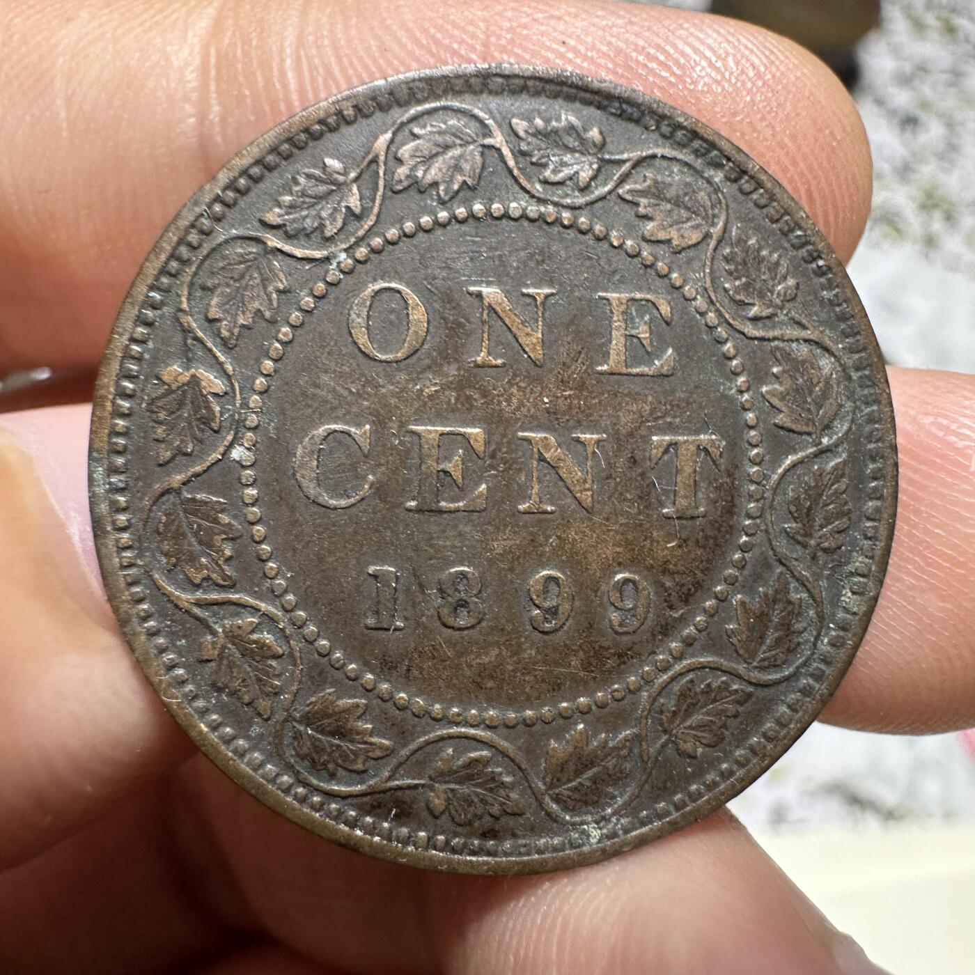 中外钱币 加拿大一分1899年，连叶纹，很有特色，少见