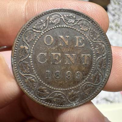 中外钱币 - 加拿大一分1899年，连叶纹，很有特色，少见