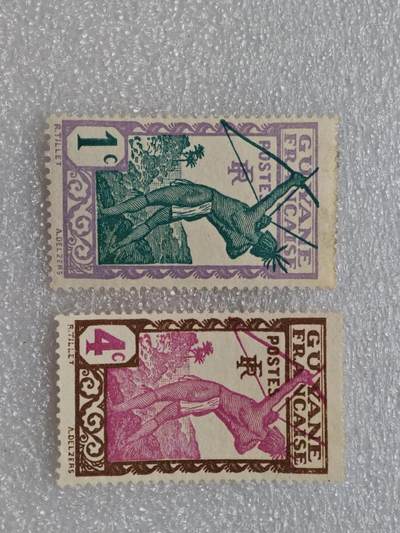  【淘币小摊】限时拍第八百九十一拍  外国老邮票 印花税票 火花纸品场    每周一统一发货 - 法属圭亚那1929年邮票2枚全新未使用