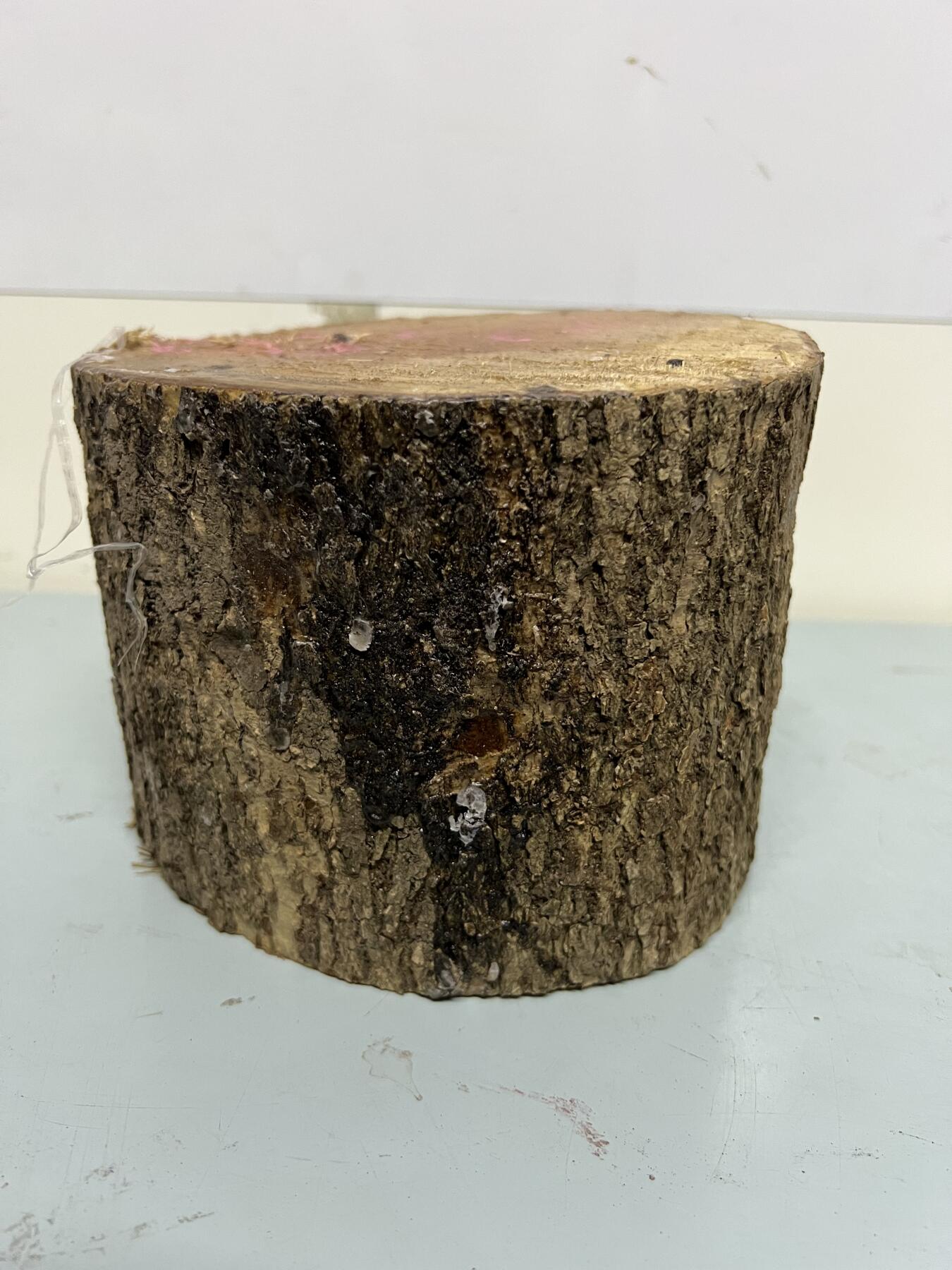 零元拍：金丝楠圆墩凳子摆件，重量3.3公斤。高：200高/190/205MM。抛光后金灿灿满香。最后图为成品效果图，如果带点瘤，意味着花纹更漂亮。抛光后金灿灿满香。最后两图为成品效果。