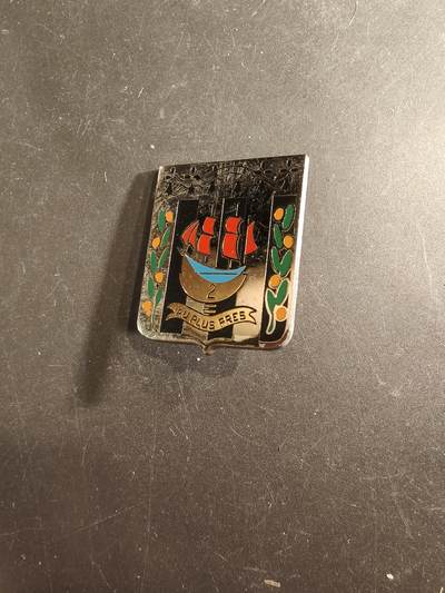 老王徽章第191期 - 法国陆军第2步兵团证章