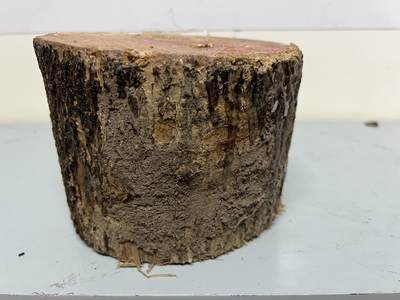 零元拍：金丝楠圆墩凳子摆件，重量3.3公斤。高：200高/190/205MM。抛光后金灿灿满香。最后图为成品效果图，如果带点瘤，意味着花纹更漂亮。抛光后金灿灿满香。最后两图为成品效果。 - 零元拍：金丝楠圆墩凳子摆件，重量3.3公斤。高：200高/190/205MM。抛光后金灿灿满香。最后图为成品效果图，如果带点瘤，意味着花纹更漂亮。抛光后金灿灿满香。最后两图为成品效果。