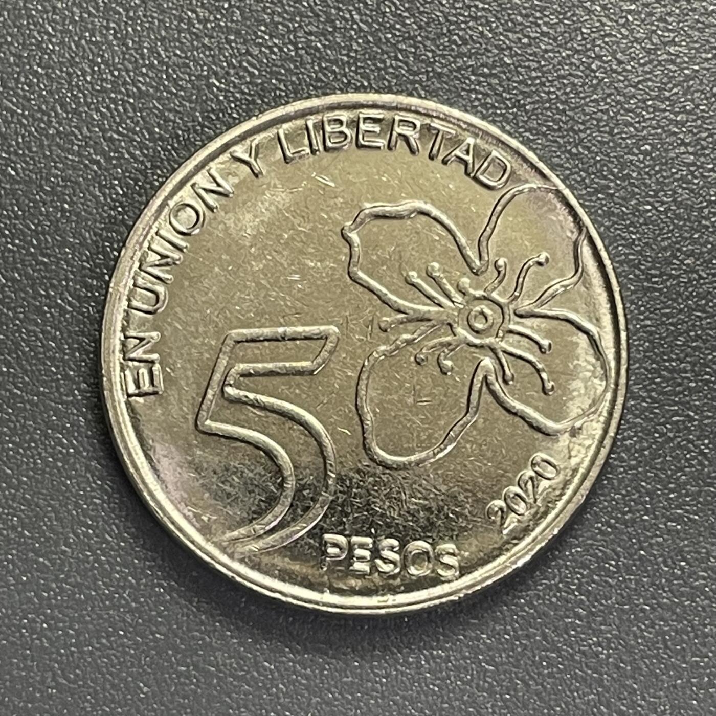 回流0405 阿根廷2020年5比索 阿亚扬花 龙舌兰树