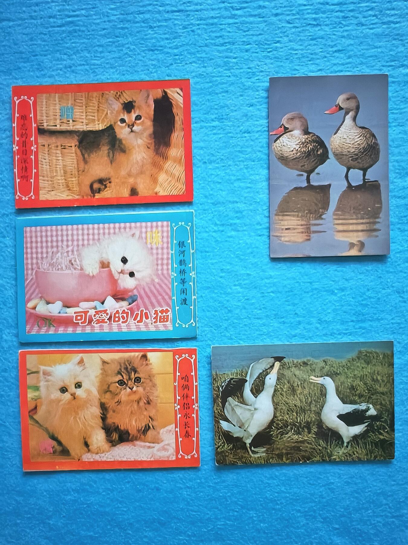 4月4日 🌏全球币章 珍稀品:老贺年明信片贺年卡 12张 平均近AU品相