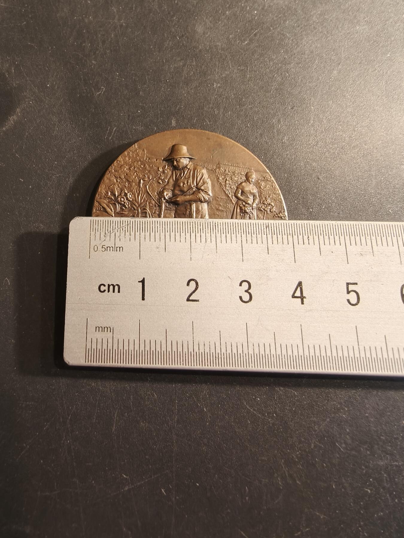 老王徽章第191期 法国1908年孚日农业与园艺协会大铜章      大师里维特作品      直径39mm      重量32.4g