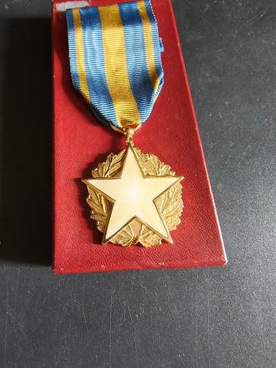 老王徽章第191期 - 法国民事战伤奖章    带纸盒